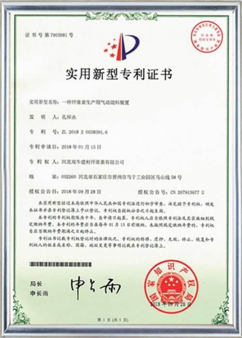 Patent